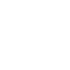 icon 1 icon 1